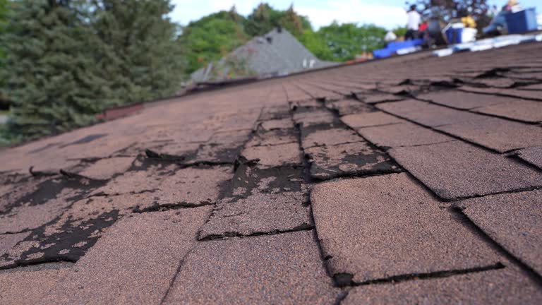 Best Roof Coating and Sealing  in Roland, IA