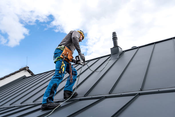 Best Roof Moss and Algae Removal  in Roland, IA