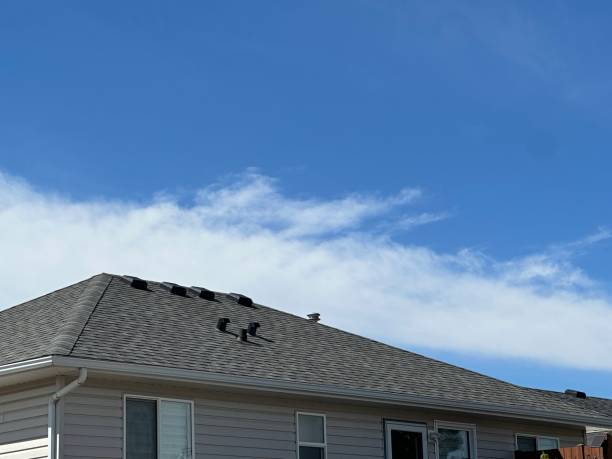 Best Skylight Installation and Repair  in Roland, IA