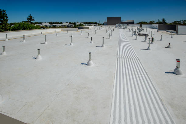 Best Storm Damage Roof Repair  in Roland, IA